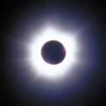 corona31b.jpg