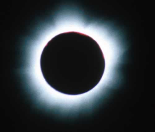 corona08m.jpg
