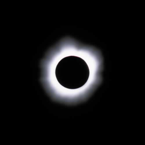 corona23m.jpg