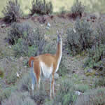 1014