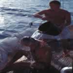 Ante todo, higiene, 8 Kb.