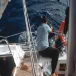 Agua para cocinar, 7 Kb.