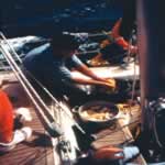 La comida del d&iacute;a, 7 Kb.