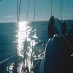 Reflejos en el oc&eacute;ano, 5 Kb. 