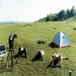 Hasta aqu hemos llegado..., 8 Kb.