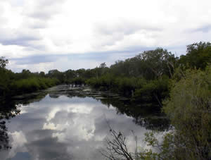 Imagen 10nov04.jpg
