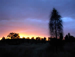 Imagen 13nov02.jpg