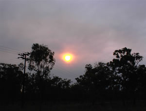 Imagen 19nov03.jpg