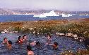 Aguas termales en Qaqartoq, 20 Kb. PULSA PARA AMPLIAR