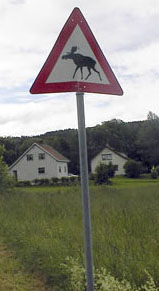 Imagen 07jul02.jpg